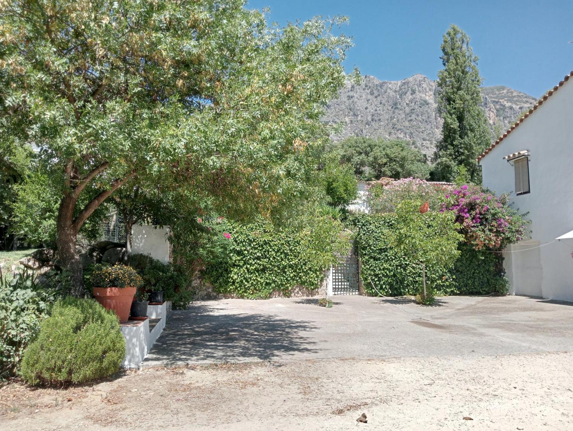 Casa Rural La Maquinilla Grazalema Exterior photo