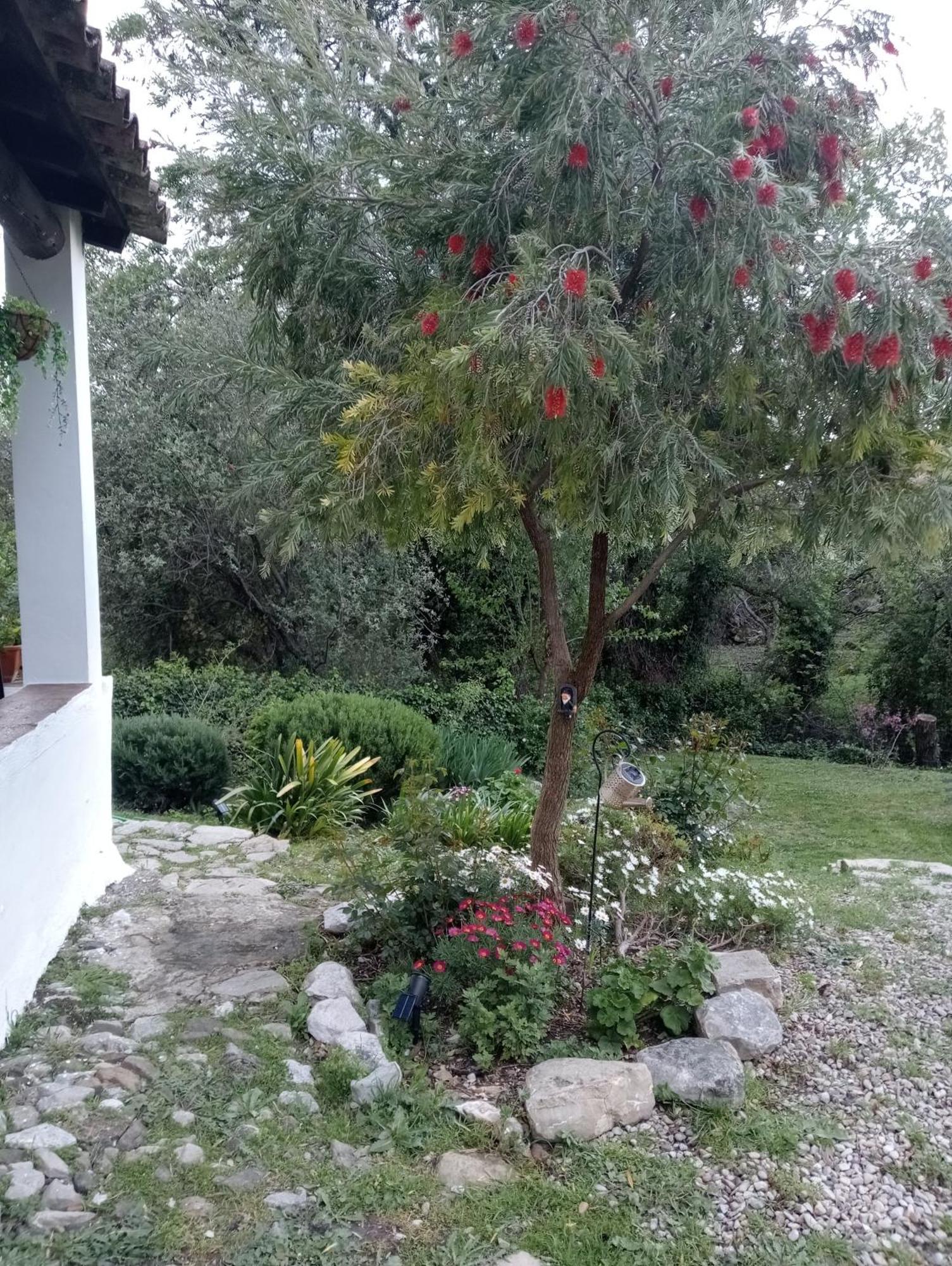 Casa Rural La Maquinilla Grazalema Exterior photo