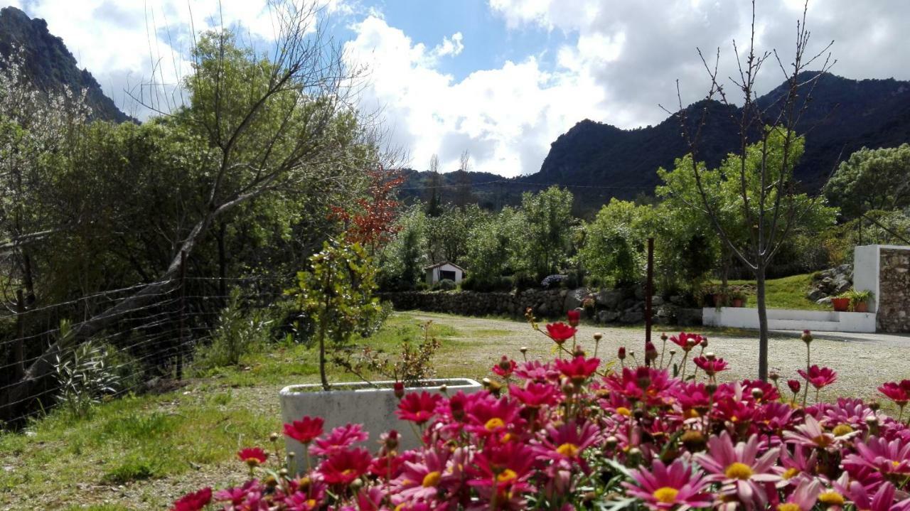 Casa Rural La Maquinilla Grazalema Exterior photo